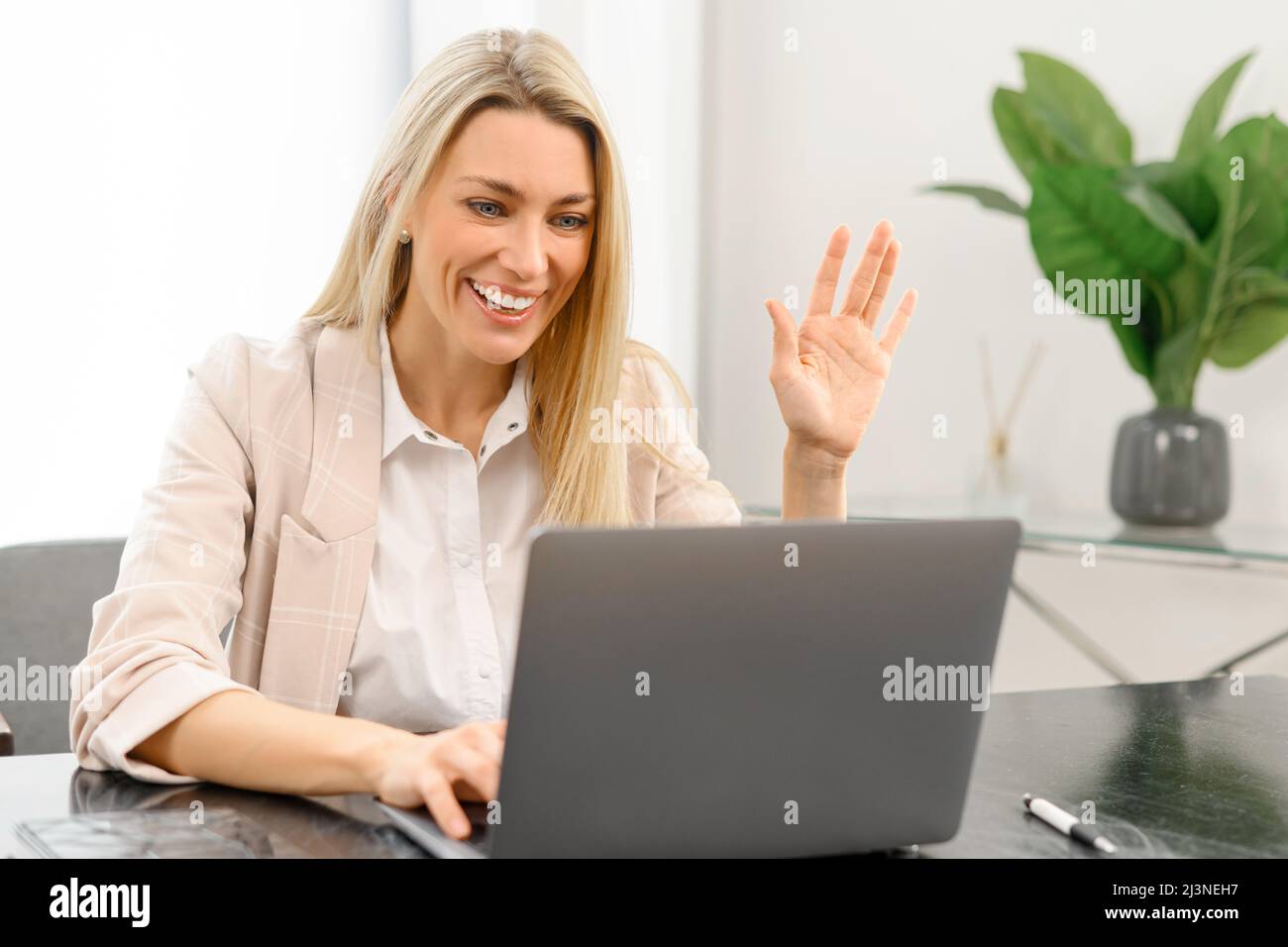 Bonne jeune femme gentille regardant l'écran de l'ordinateur portable, tenant une conversation de réunion par appel vidéo, discutant des problèmes de travail, passant l'entretien d'emploi de la maison. Concept de communication à distance Banque D'Images