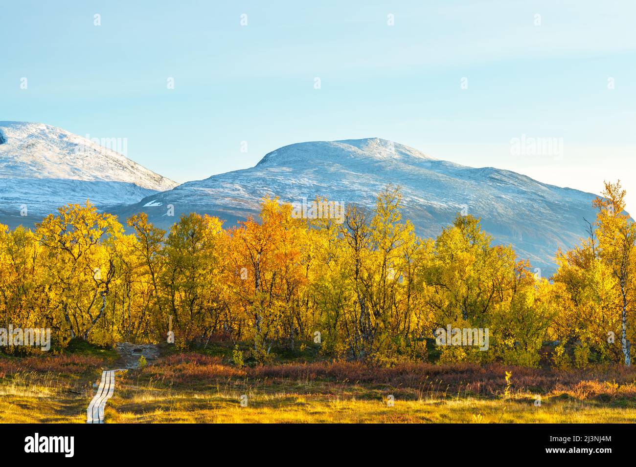 Parc national d'Abisko en septembre avec des couleurs d'automne et de la neige sur les montagnes, parc national d'Abisko, Laponie suédoise, Suède Banque D'Images