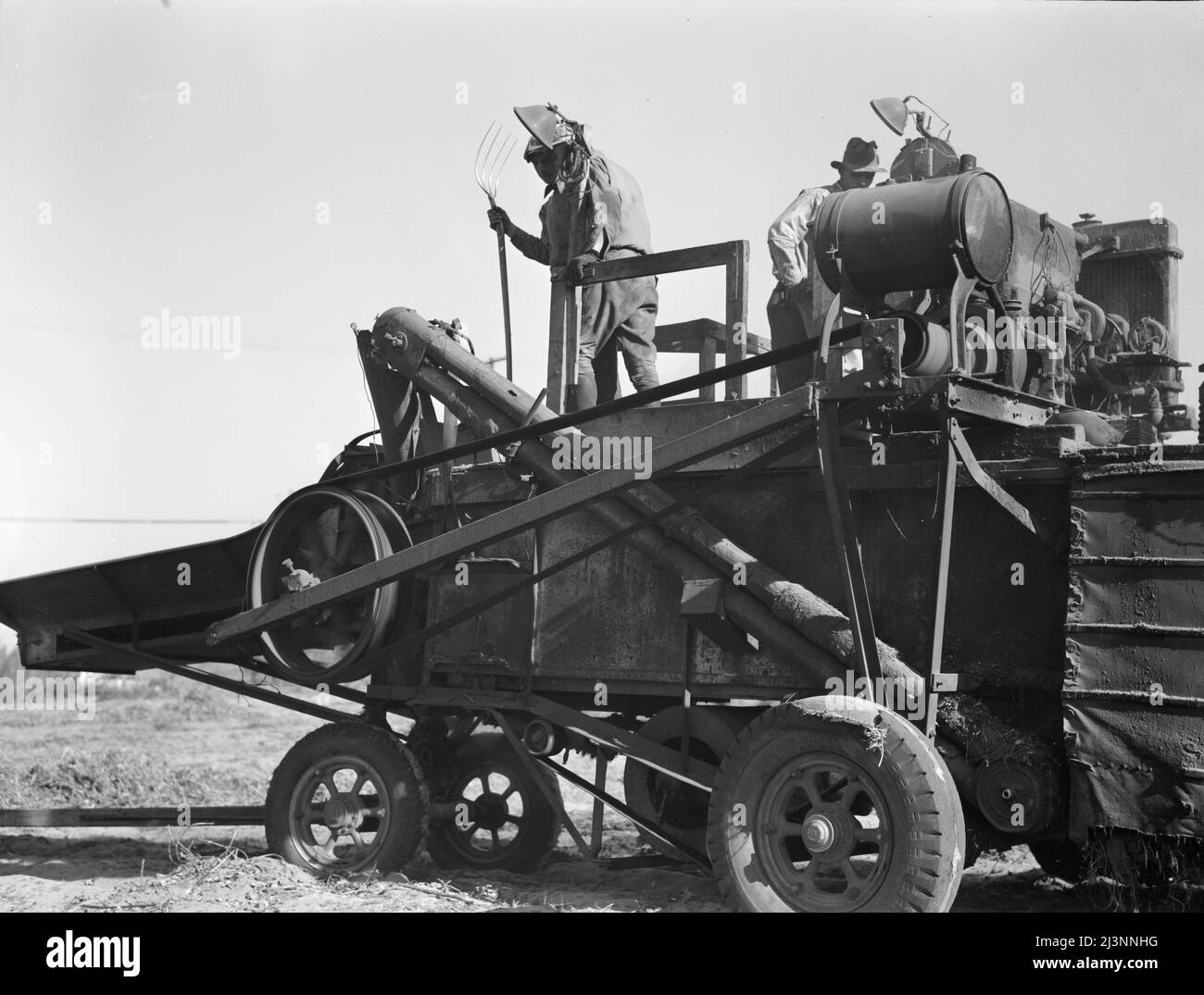 Batteur à haricots. Agriculture mécanisée entre Turlock et Merced, Californie. Banque D'Images