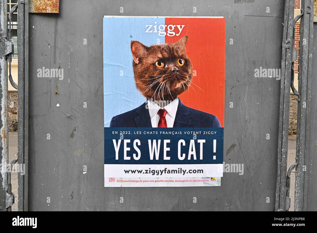 Presidential Cat Banque De Photographies Et D Images A Haute Resolution Alamy