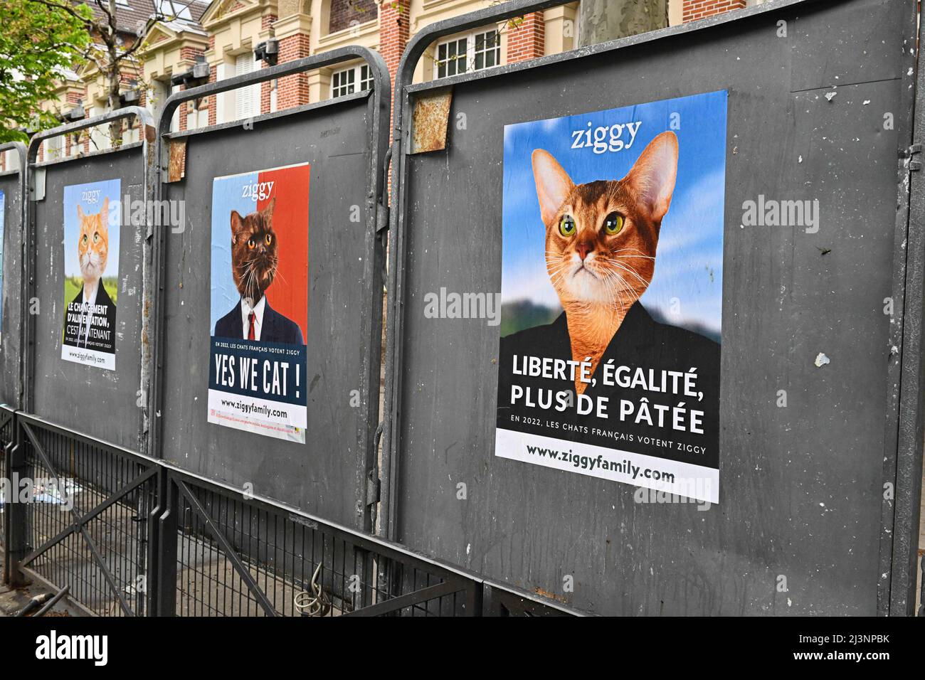 Presidential Cat Banque De Photographies Et D Images A Haute Resolution Alamy