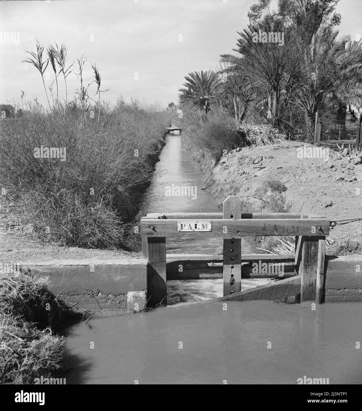 Fossé d'irrigation le long de la route. Imperial Valley, Californie. Banque D'Images