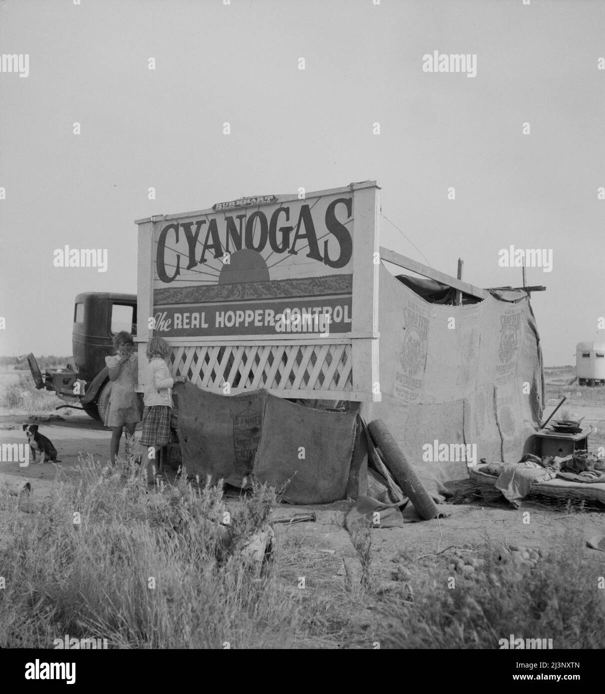 Domicile des travailleurs agricoles migrants. Californie. [Abri de fortune construit derrière une palissade publicitaire: 'Cyanogas - le véritable contrôle de la trémie']. Banque D'Images