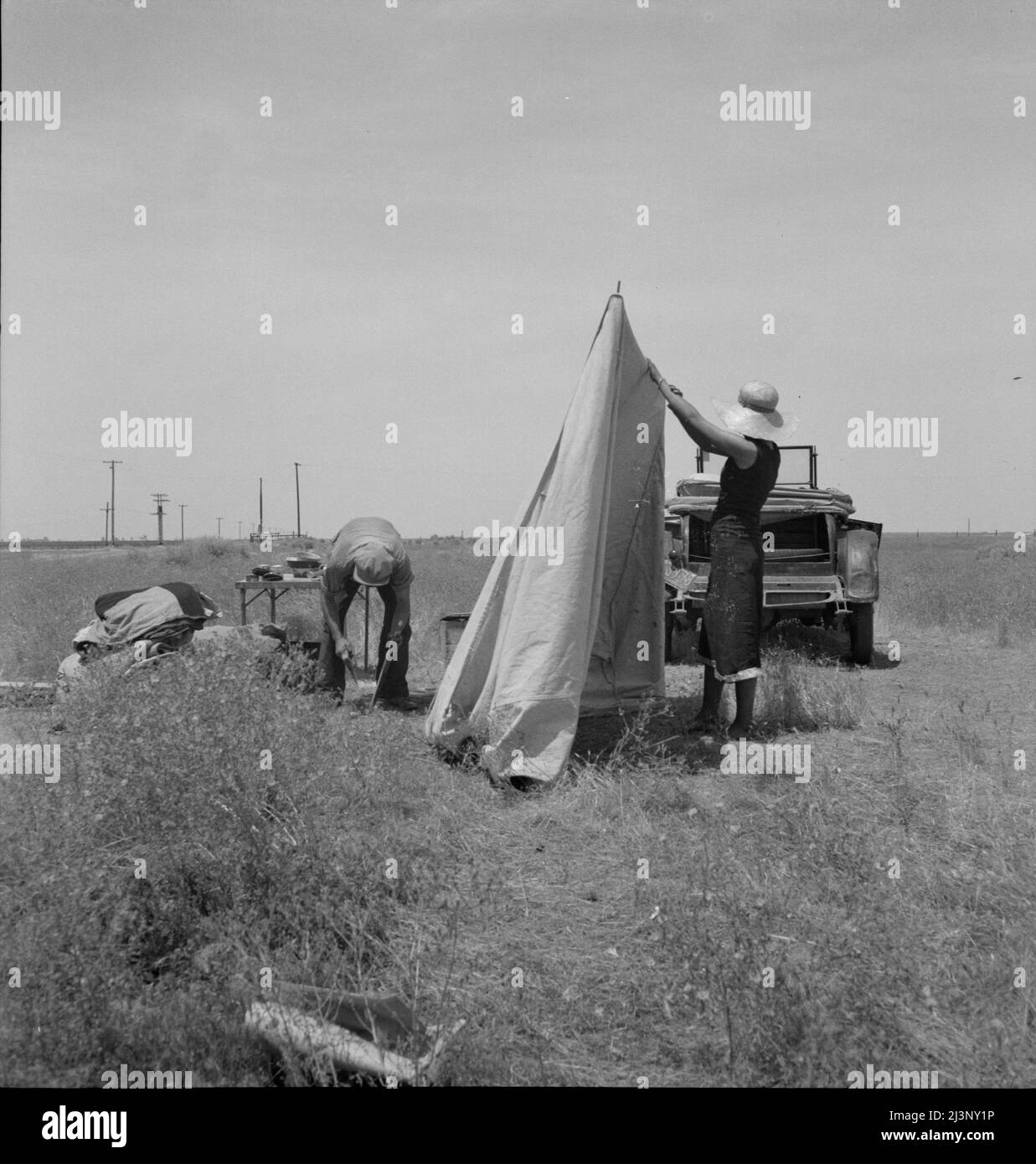 Les cueilleurs de pommes de terre migrants pitant leur tente. Souvent, ils sont sans eau et sans conditions sanitaires. Près de Shafter, Californie. Banque D'Images