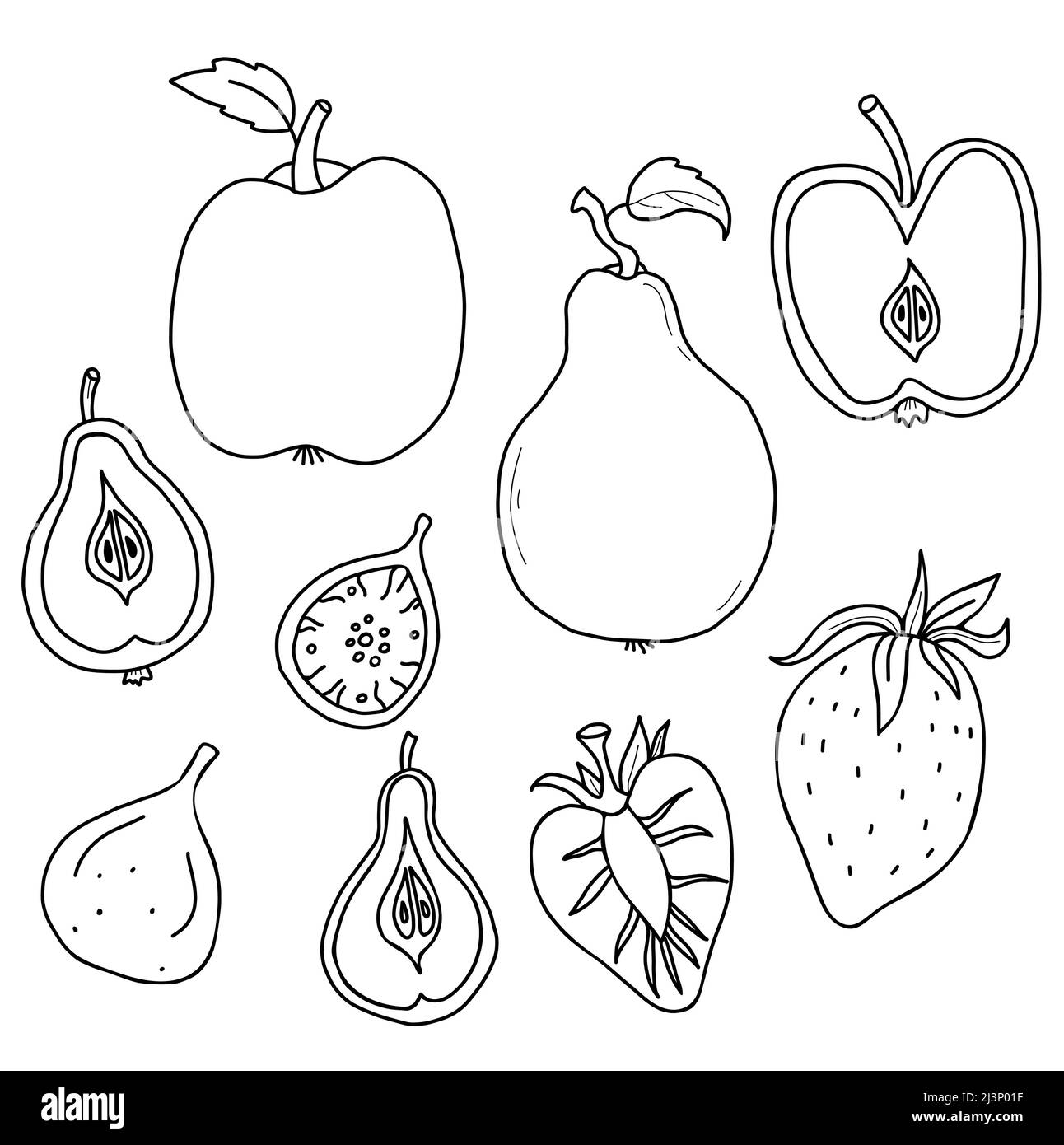 Grand ensemble de fruits et de baies. Fruits entiers et coupés en deux. Fraise et figuier, pomme et poire avec racine et feuille. Illustration vectorielle dans une main linéaire Illustration de Vecteur Grand ensemble de fruits et de baies. Fruits entiers et coupés en deux. Fraise et figuier, pomme et poire avec racine et feuille. Illustration vectorielle dans une main linéaire Illustration de Vecteur