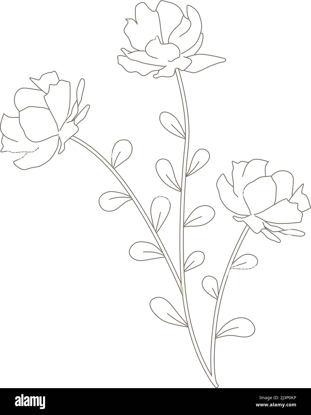 fleur de printemps, vecteur Illustration de Vecteur