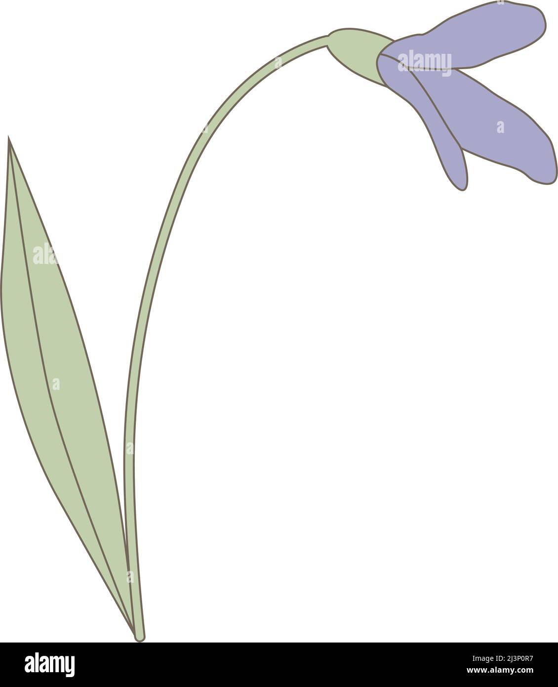 fleur de printemps, vecteur Illustration de Vecteur