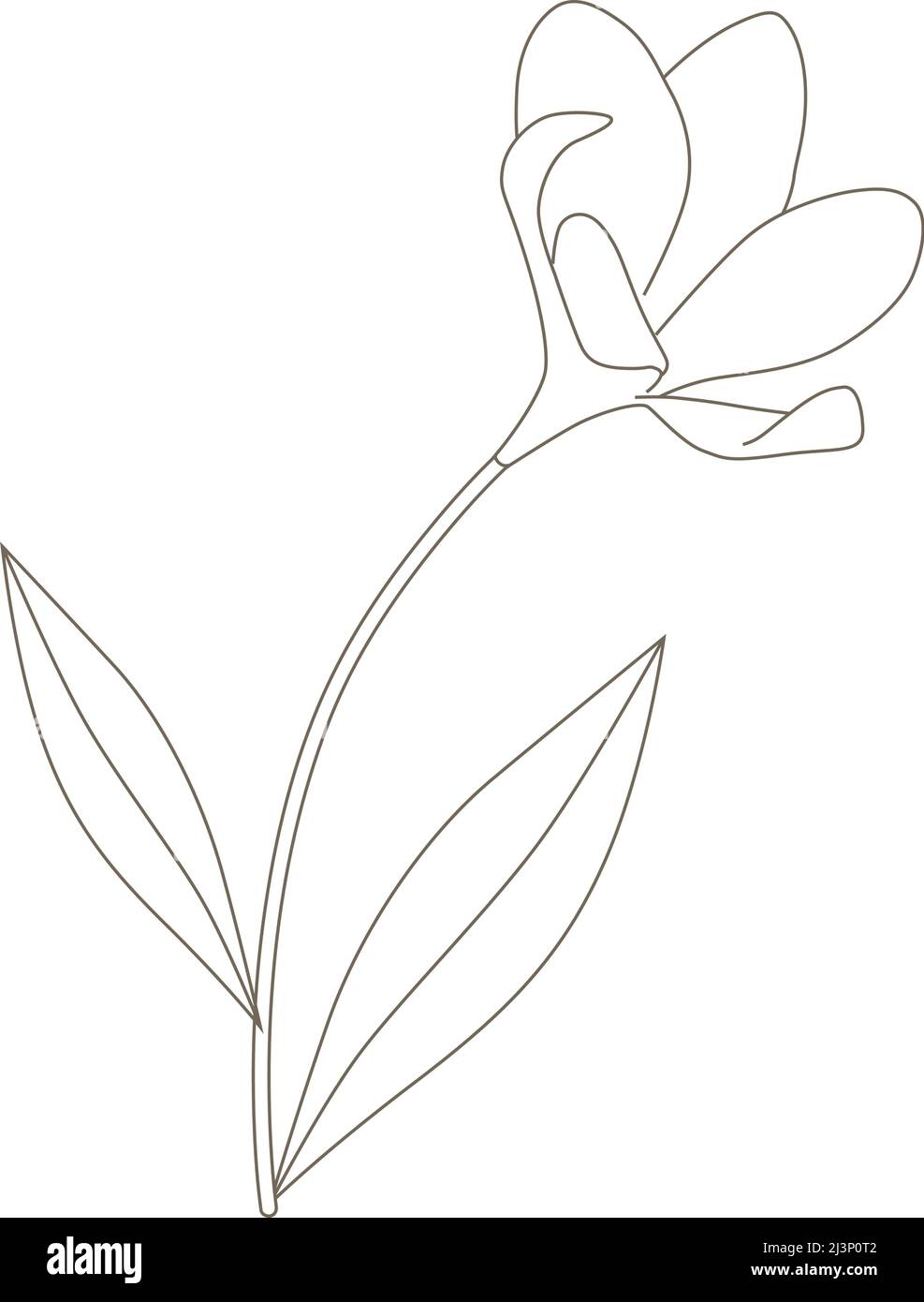 fleur de printemps, vecteur Illustration de Vecteur