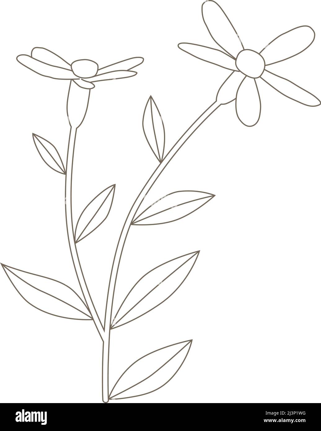 fleur de printemps, vecteur Illustration de Vecteur