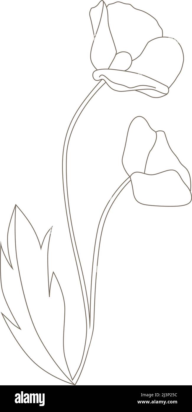 fleur de printemps, vecteur Illustration de Vecteur