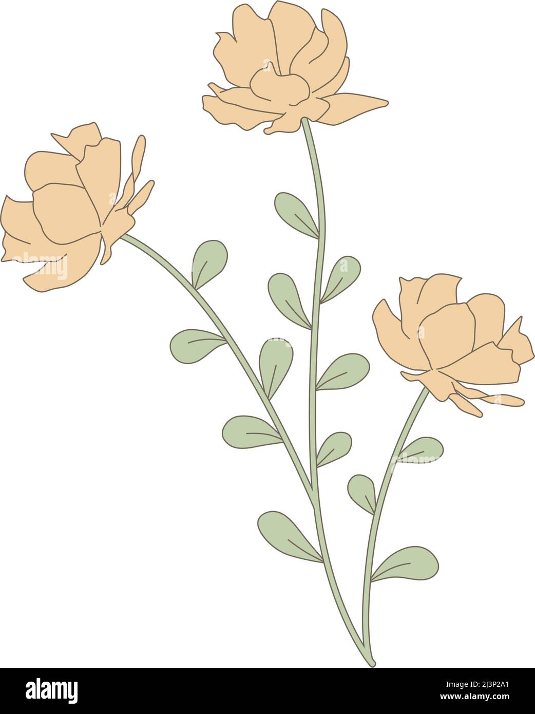 fleur de printemps, vecteur Illustration de Vecteur