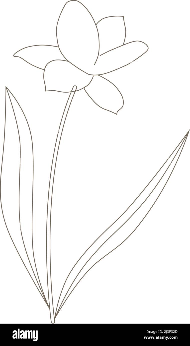 fleur de printemps, vecteur Illustration de Vecteur