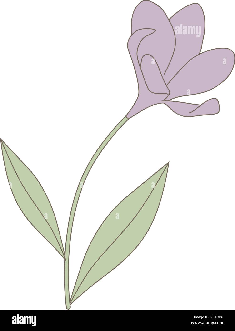 fleur de printemps, vecteur Illustration de Vecteur
