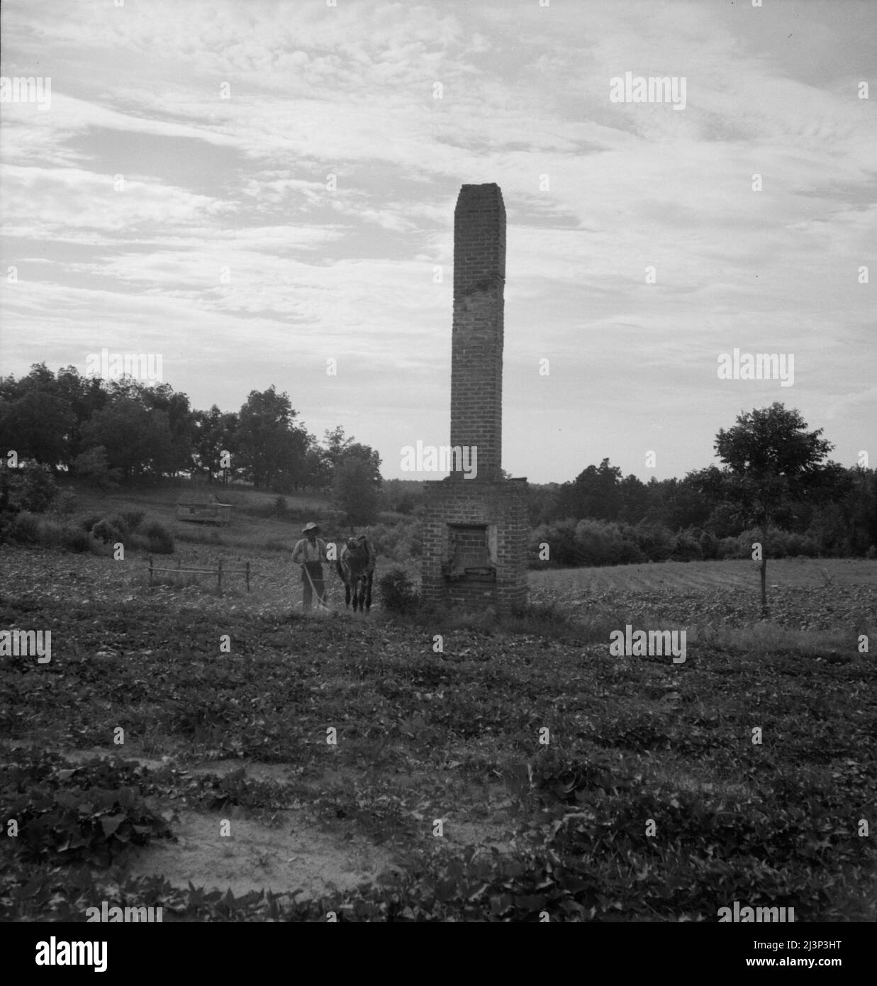 Les cheminées sur pied sont une vue commune dans le comté de Greene. Ils se trouvent souvent dans des champs crédules, indiquant où se trouvait autrefois une maison de plantation. Géorgie. Banque D'Images