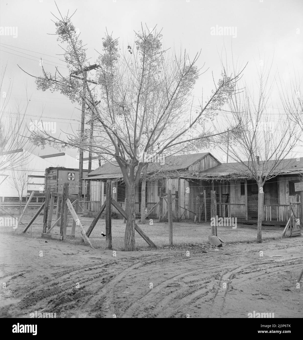 Lindsay, Californie. Maisons habitées par des travailleurs mexicains d'agrumes. Tulare County. Banque D'Images