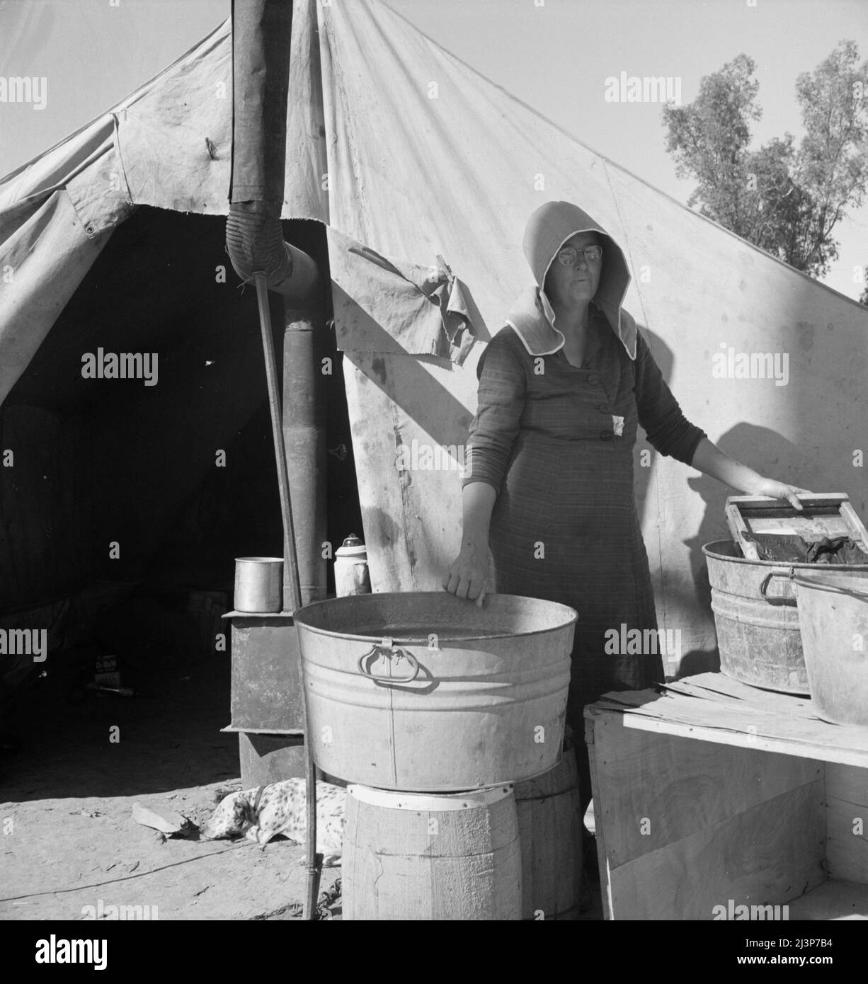 Texas femme dans le camp des tireurs de carottes. Imperial Valley, Californie. Ce pare-soleil est typique des femmes qui sont venues du Texas. Banque D'Images