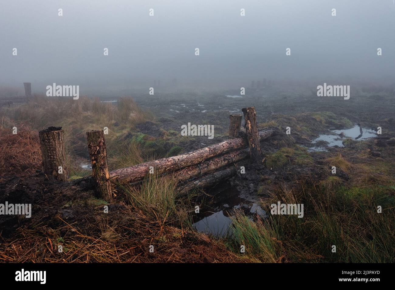 Barrières installées pour bloquer les fossés de drainage sur la lande d'Ilkley afin de régénérer les tourbières et la mousse de sphagnum, West Yorkshire, Angleterre, Royaume-Uni Banque D'Images