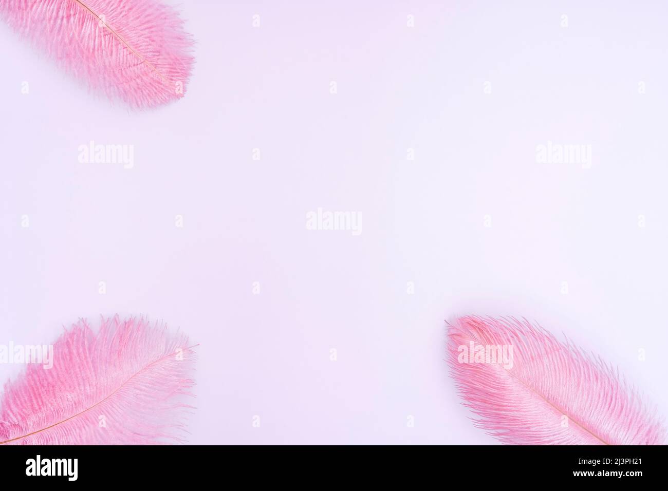 Esthétique fond rose de Pâques avec des plumes colorées sur un fond rose clair. Concept de Pâques. Composition créative de la vie fixe. Photo de haute qualité Banque D'Images