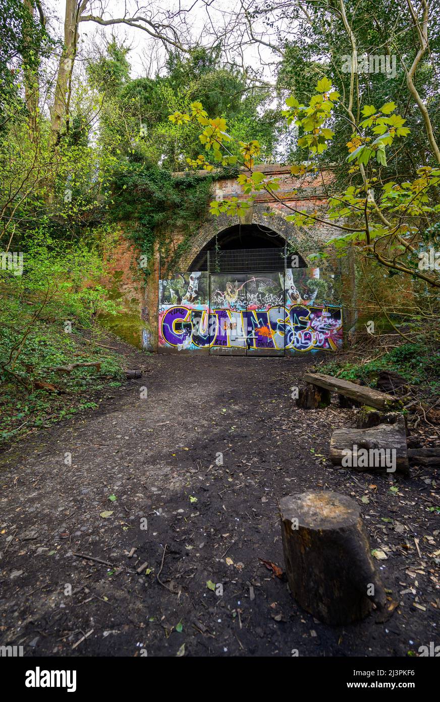 Dulwich, Londres, Royaume-Uni: L'entrée d'un tunnel ferroviaire désutilisé à Sydenham Hill Wood. Le chemin de fer était autrefois de Lordship Lane à Crystal Palace. Banque D'Images