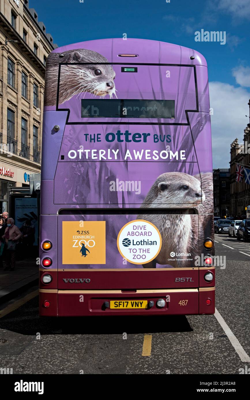 Le bus Otter, le zoo d'Édimbourg annonce avec des loutres à l'arrière d'un bus Lothian sur Princes Street, Edimbourg, Écosse, Royaume-Uni. Banque D'Images