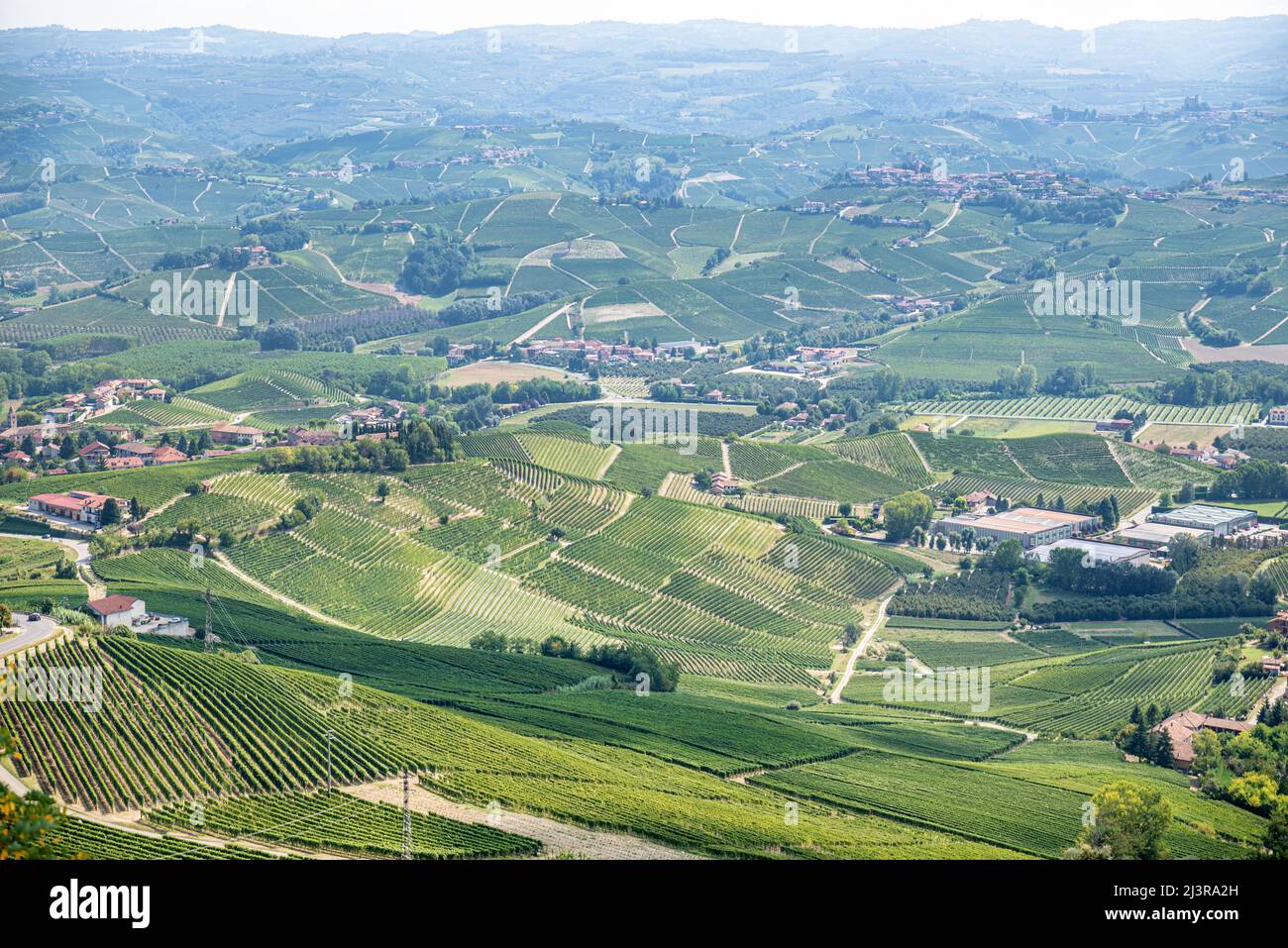 Vignobles de barolo, région de Langhe, Piémont, Italie Banque D'Images