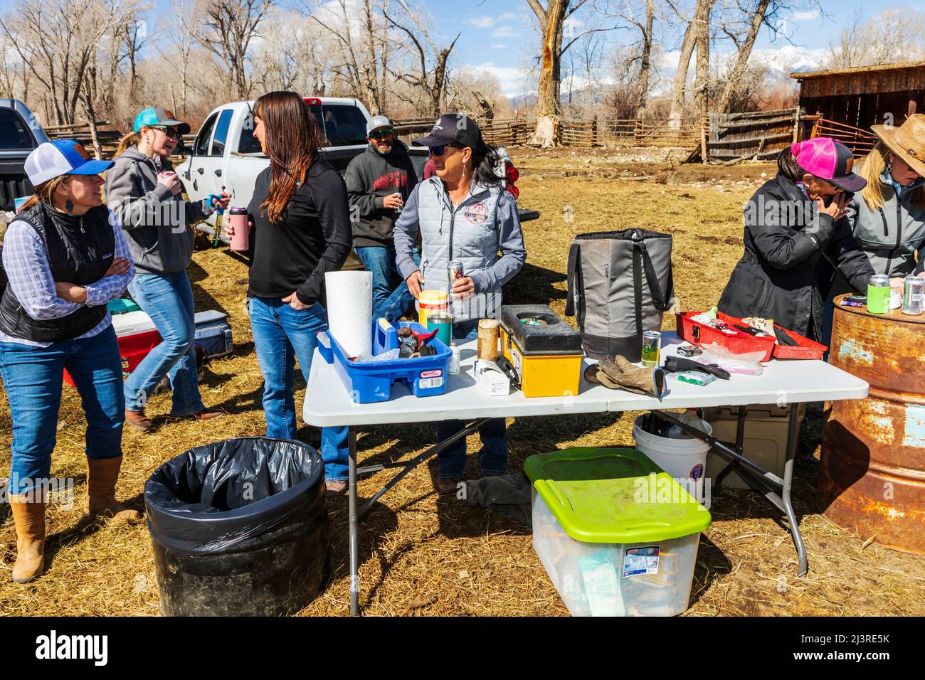 Des volontaires et des amis se réunissent lors de l'événement de marquage printanier sur le Hutchinson Ranch près de Salida : Colorado, États-Unis Banque D'Images