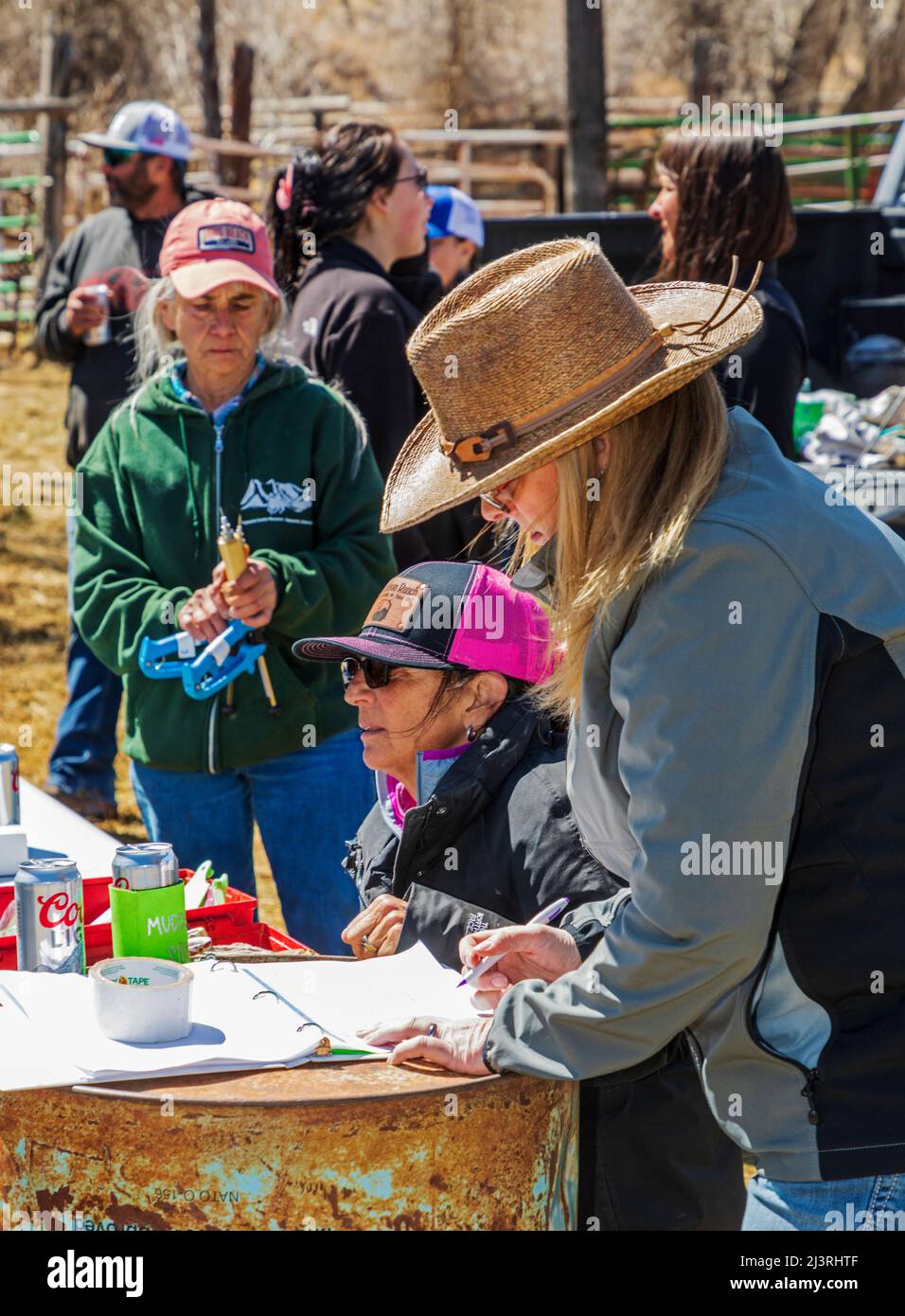 Les bénévoles et les amis se tiennent à l'événement de marquage printanier sur le Hutchinson Ranch près de Salida : Colorado, États-Unis Banque D'Images