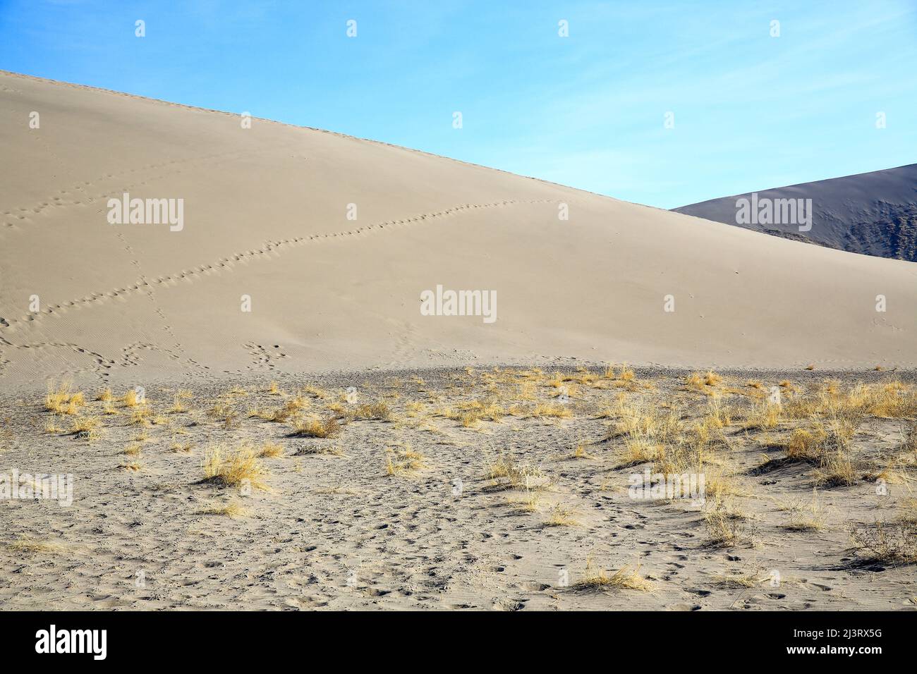 Bruneau Dunes State Park, New York-USA Banque D'Images