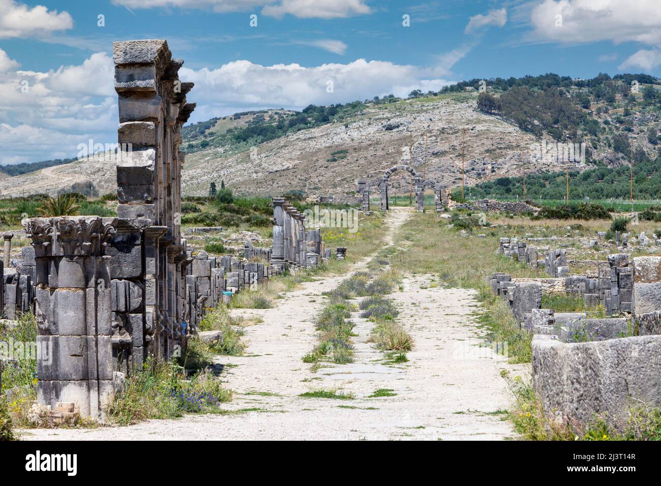 Volubilis, au Maroc. Decumanus Maximus, la route menant à l'Tingis (Tanger) Gate, construit 168-69AD. Banque D'Images