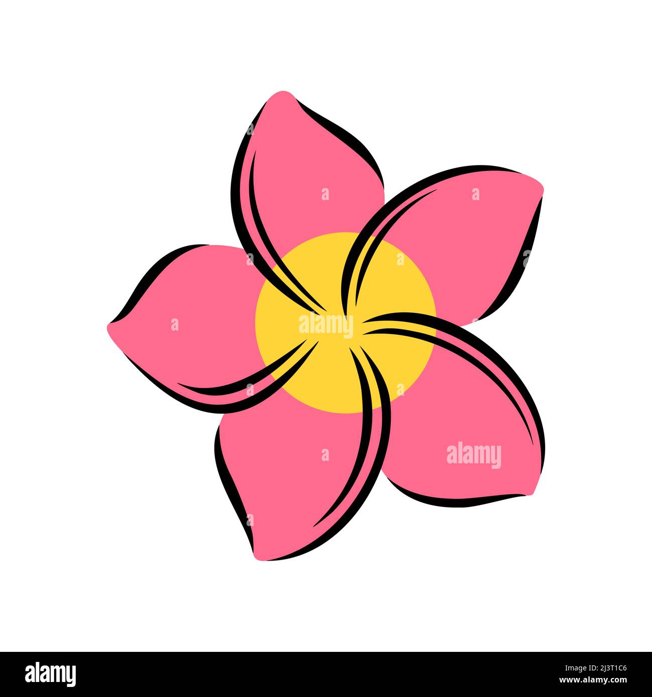 Frangipani ou plumeria fleurs exotiques d'été.Frangipani gravé isolé sur fond blanc.Illustration vectorielle Illustration de Vecteur