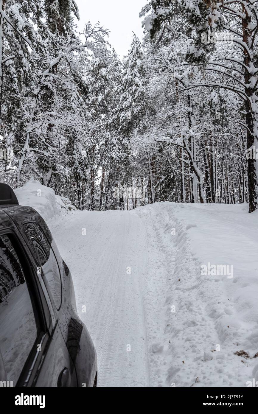 Route étroite à travers la forêt enneigée d'hiver lors d'une journée tranquille. Banque D'Images