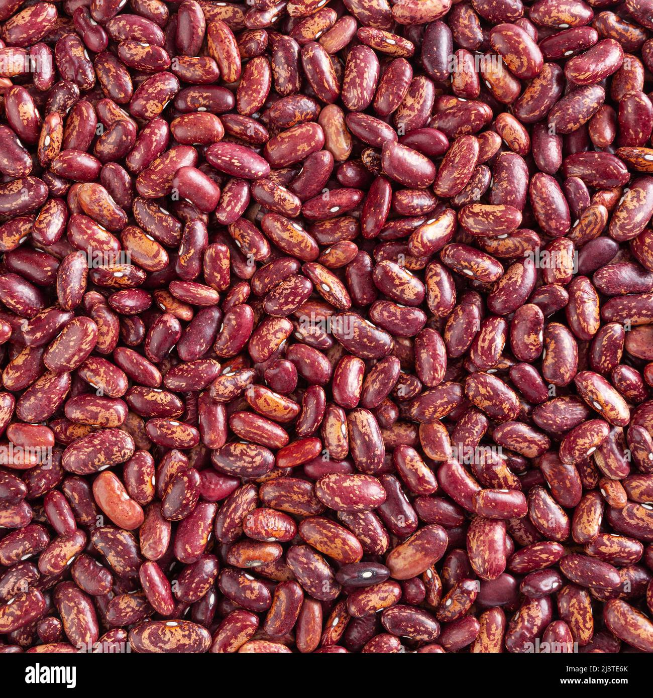 Fond de haricots pinto rouges séchés Banque D'Images