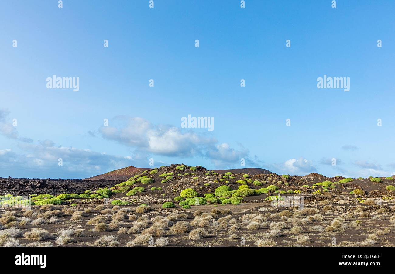 Paysage volcanique dans le parc national de timanfaya, Lanzarote, Espagne Banque D'Images