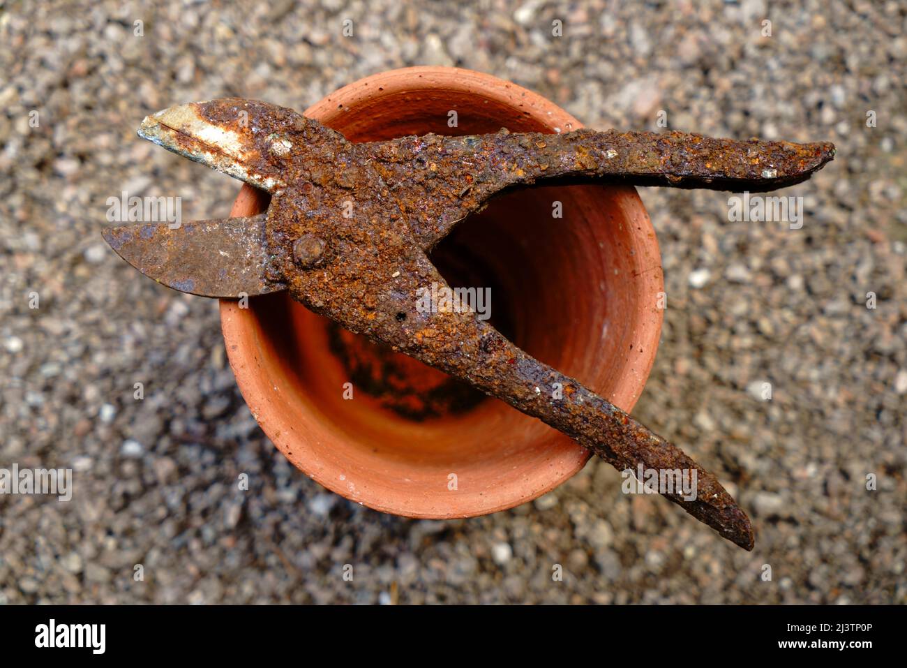 Une paire de sécateurs rouillés sur un pot à plantes. Banque D'Images