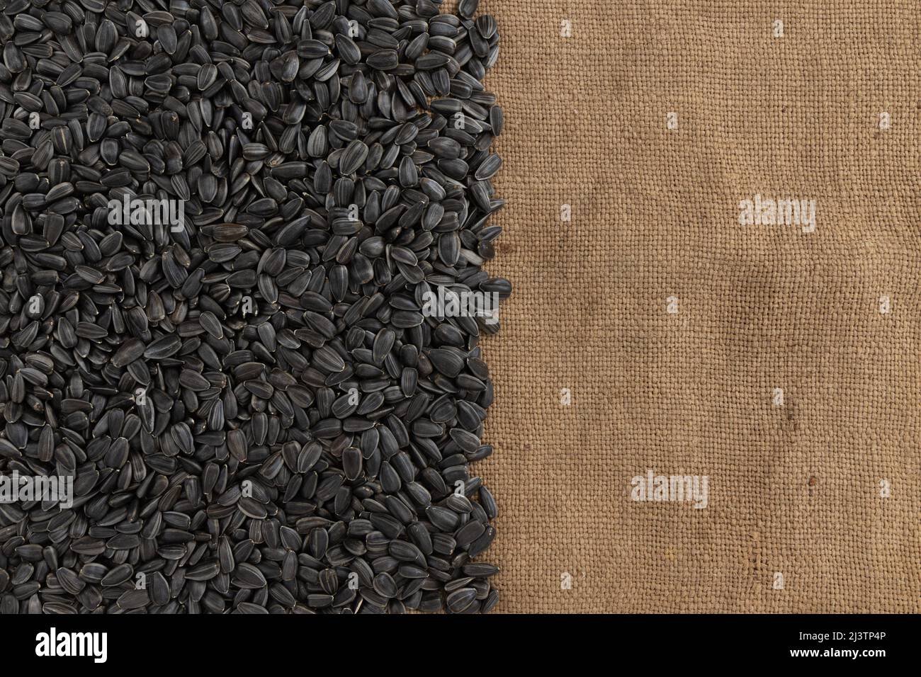 cadre de graines de tournesol noires avec espace de copie pour le texte isolé sur fond en toile de fond, vue de dessus de pile de graines torréfiées non pelées, en-cas sains Banque D'Images