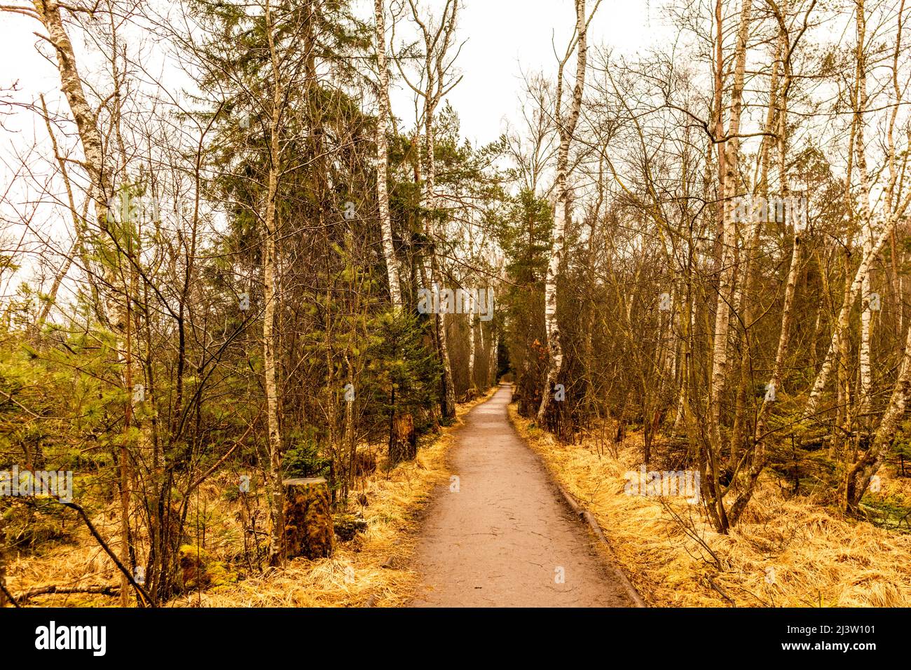 Sur le chemin des jardins de Schwenninger et de sa beauté naturelle - Baden - Württemberg - Allemagne Banque D'Images