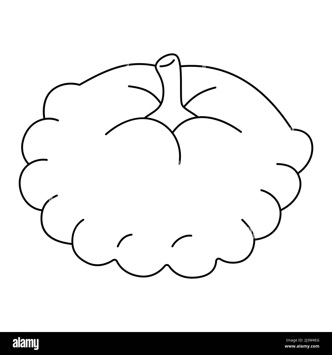 Illustration vectorielle noire et blanche de patisson pour livre de coloriage. Légumes mûrs pour le décapage, source de vitamines Illustration de Vecteur