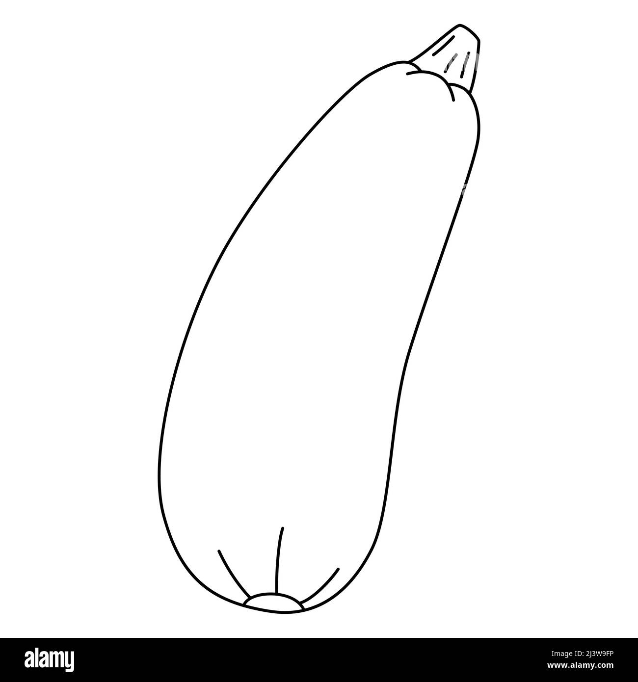 Illustration vectorielle noire et blanche de zucchini pour livre de coloriage. Légumes mûrs, source de vitamines Illustration de Vecteur