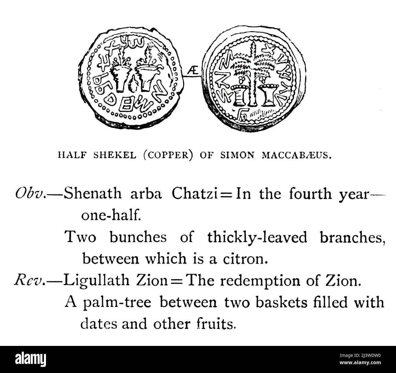 DEMI-SICLE (CUIVRE) DE SIMON MACCABEUS. [Simon Thassi] l'inscription est Obv. Shenath arba Chatzi = dans la quatrième année moitié. Deux petits pains de branches feuilles épaissies, entre lesquels est un citron. Le Rév. Ligullath Zion = la rédemption de Zion. Un palmier entre deux paniers remplis de dates et d'autres fruits Illustration de l'ancienne pièce de monnaie biblique du livre ' l'argent de la Bible ' par George Charles Williamson, Éditeur: Londres, la Société religieuse de la trêt 1894 Banque D'Images