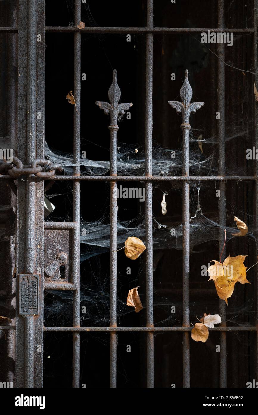 Ancienne porte de tombeau de cimetière avec des barres de métal vieillies recouvertes de toile d'araignée et de feuilles d'automne. Banque D'Images