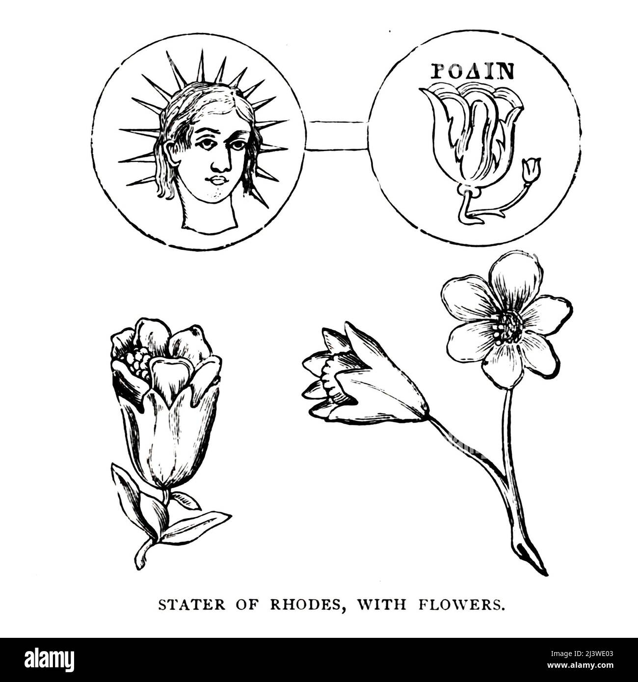 STATER DE RHODES, AVEC DES FLEURS Illustration de l'ancienne pièce de monnaie biblique du livre ' l'argent de la Bible ' par George Charles Williamson, Éditeur: Londres, la Société religieuse de la tractus 1894 Banque D'Images