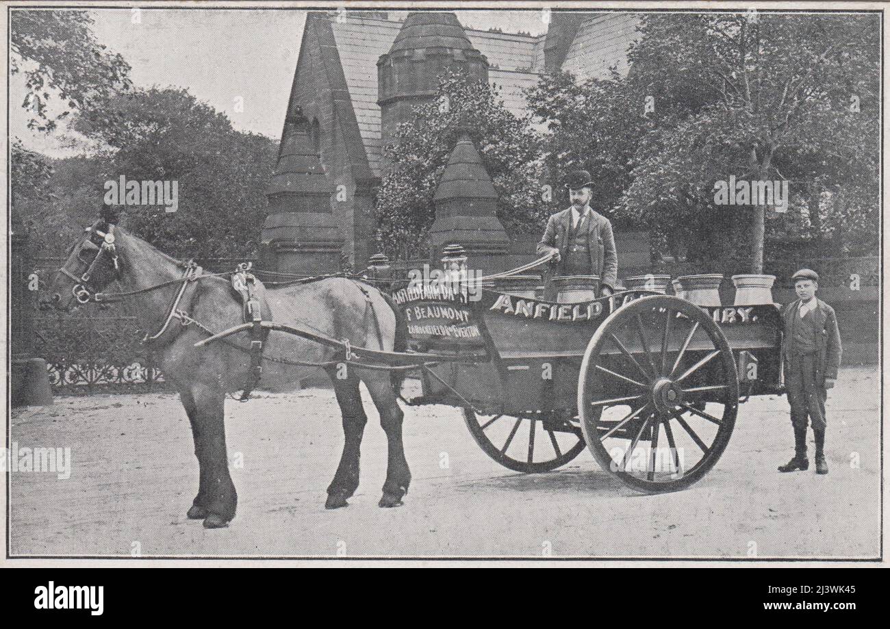 Anfield Farm Dairy, Liverpool, début du 20th siècle : photo d'un chariot de livraison de lait tiré par un cheval, avec un homme dans un chapeau derby tenant les rênes. Un garçon est debout à l'arrière du chariot qui est chargé de curnes à lait Banque D'Images
