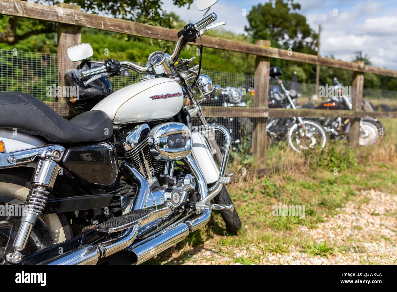 Woodbridge Suffolk UK août 14 2021: Une Harley-Davidson XL 2006 1200 C moto sport personnalisée exposée à une rencontre de motards Banque D'Images