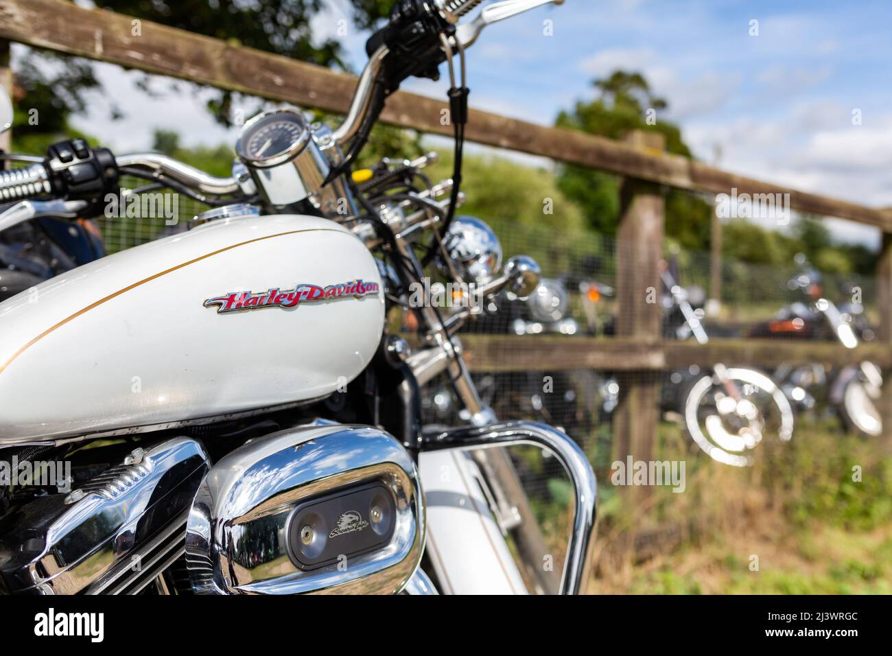 Woodbridge Suffolk UK août 14 2021: Une Harley-Davidson XL 2006 1200 C moto sport personnalisée exposée à une rencontre de motards Banque D'Images