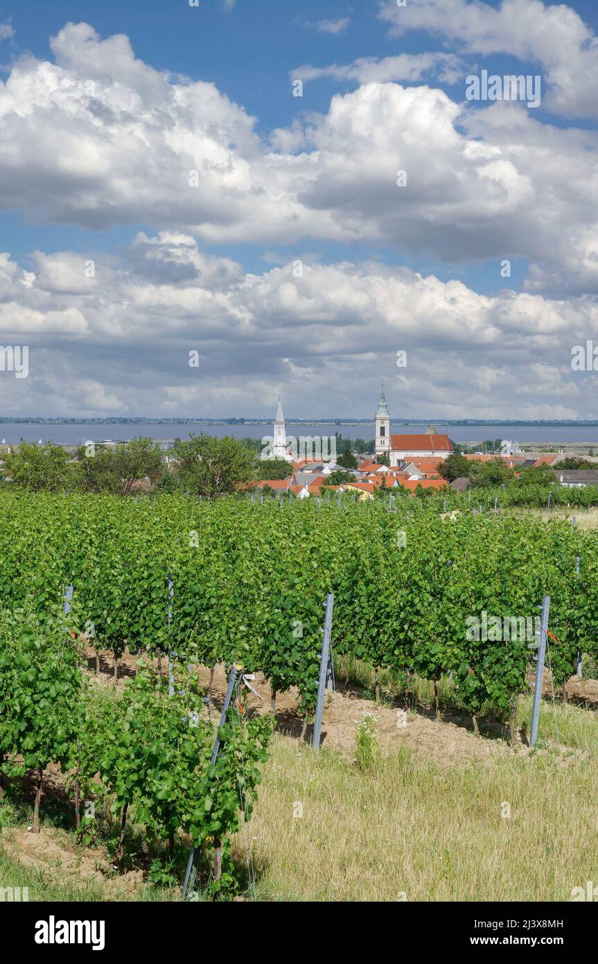 Village de Rust à Neusiedler See, Burgenland, Autriche Banque D'Images
