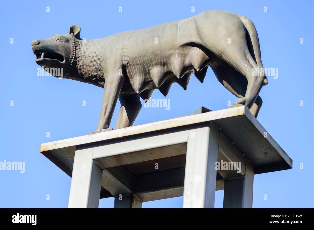 Le loup-mère symbole de la Louvière | la Louve symbole de la Louvière Banque D'Images