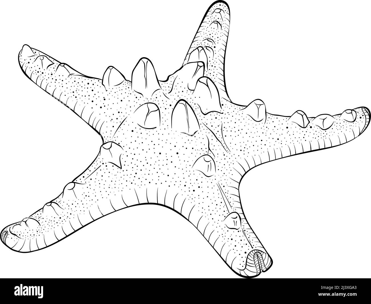 Art de la ligne Starfish Illustration de Vecteur