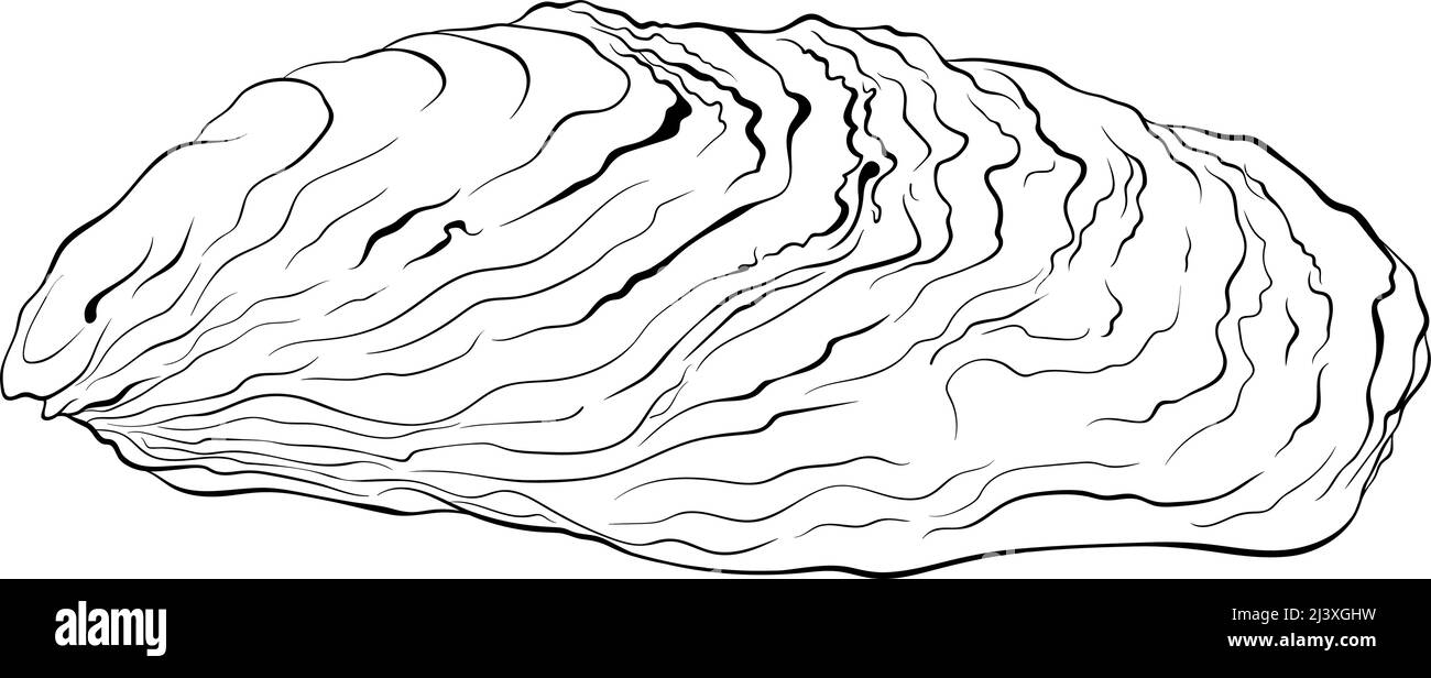 Art de la ligne de coquillages d'huîtres Illustration de Vecteur