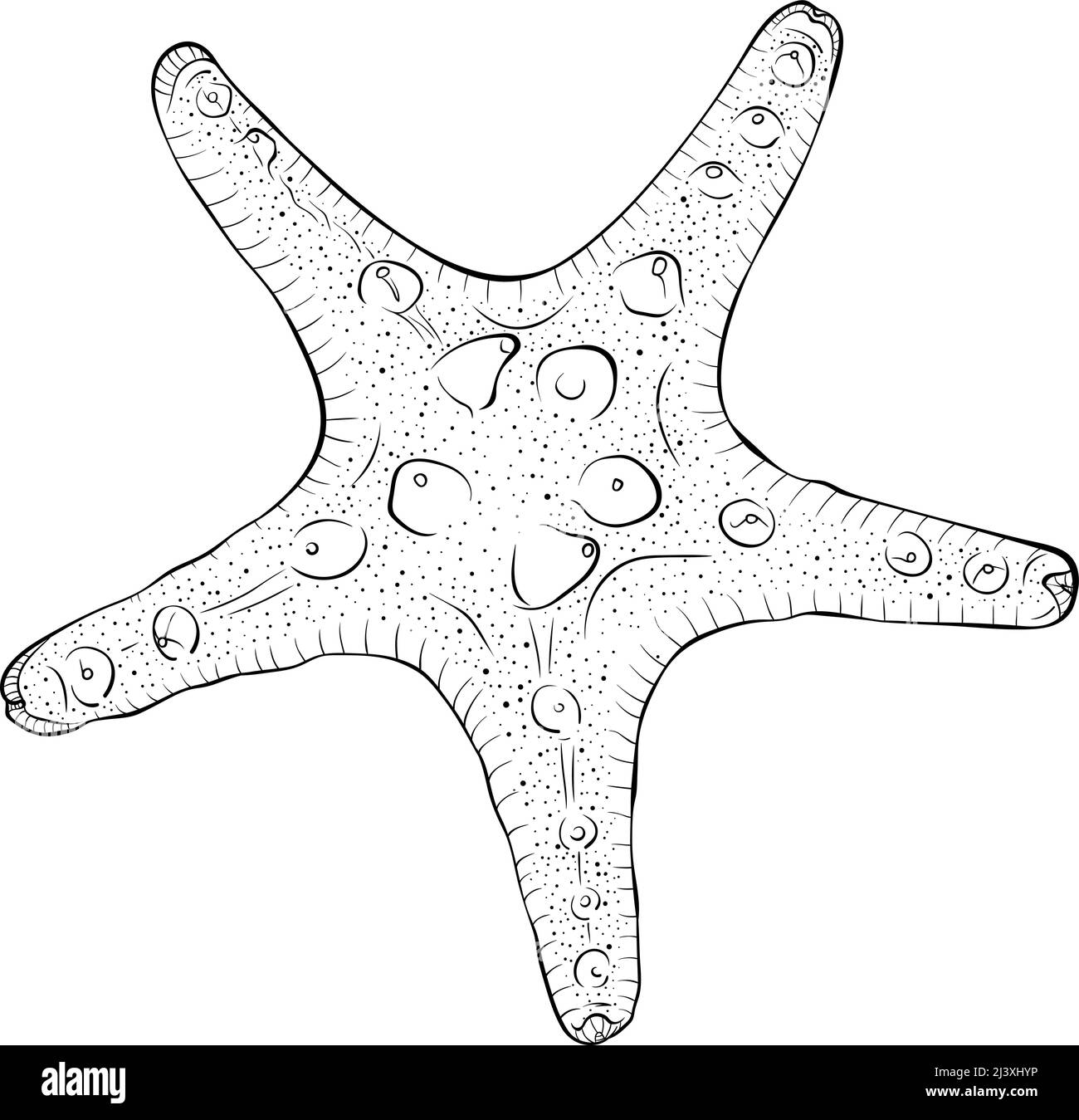 Starfish vue de dessus art de ligne Illustration de Vecteur