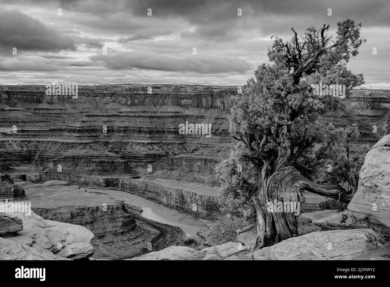 Paysage noir et blanc de Canyonlands Utah Banque D'Images